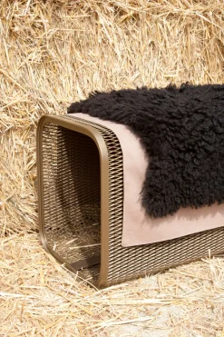 Caballito Piccolo - Suede and Sheepskin