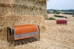 Caballito Piccolo - Wool and Leather