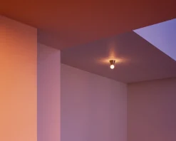 Cone Light Wall / Ceiling