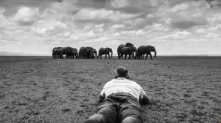 David Yarrow Photography - Americas, Africa, Antarctica, Arctic, Asia, Europe