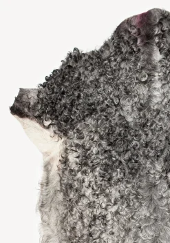 Gotland Sheepskin - Darker Gray