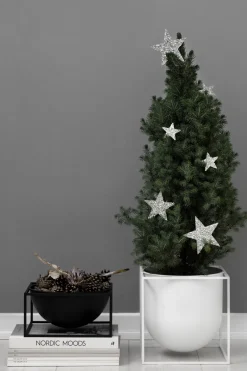 Kubus Bowl - Centerpiece, Small