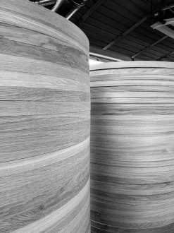 PP130 - Circle Chair