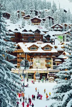 The Stylish Life - Skiing